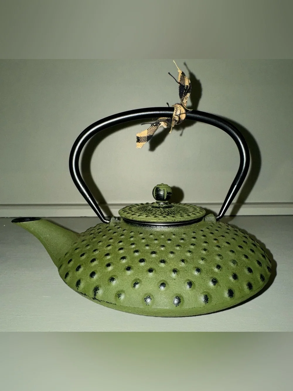 Bredemeijer Xilin Cast Iron Tea Pot